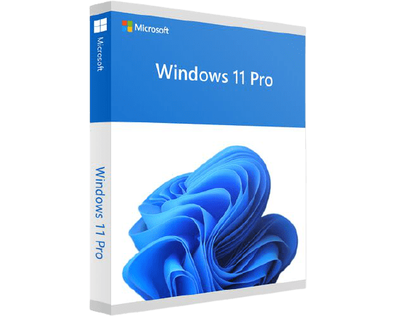 Windows 11 Pro Product Key